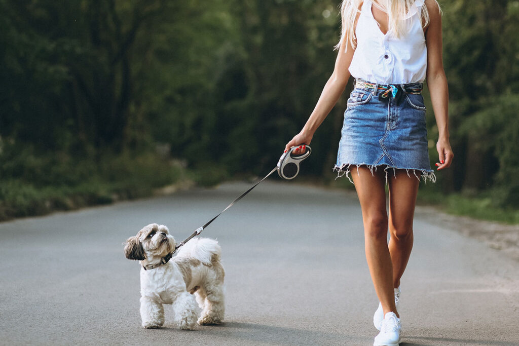 Young blond woman wearing jean mini skirt walking her small dog in the park.