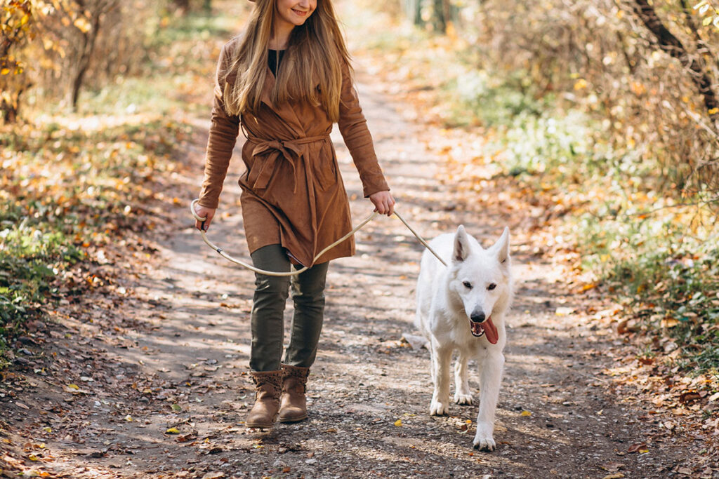 Young woman in park walking with her white dog.