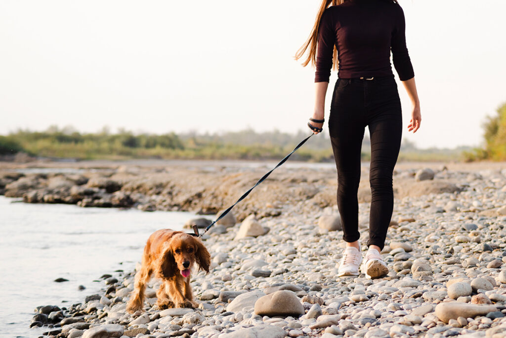 Young woman walking her dog outdoor next to creek.